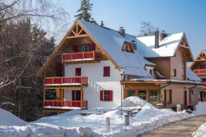 Bolfenk lodge apartment